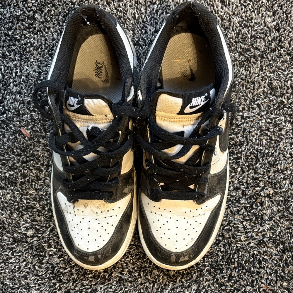 Nike Dunk Low Retro Panda